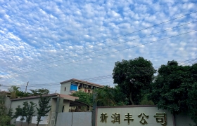 公司新闻